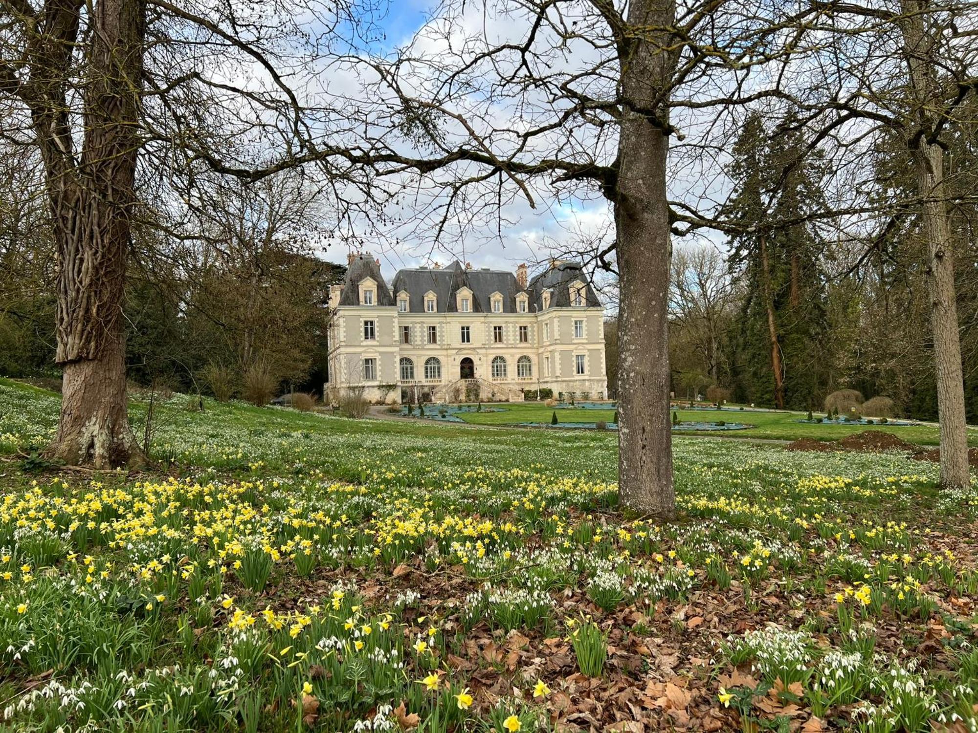 Chateau De Saint-Bohaire מראה חיצוני תמונה